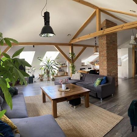 Zeromskiego Apartament بشيميش المظهر الخارجي الصورة